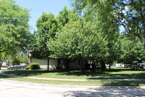 13461 Redberry Cir, Plainfield, IL 60544 photo 25