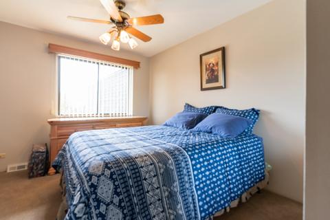 768 Golfview Dr, Roselle, IL 60172 photo 12