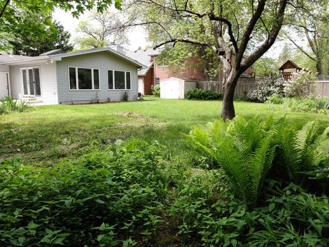 731 Pine St, Deerfield, IL 60015 photo 31