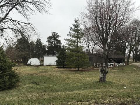 105 W Lincoln St, Reddick, IL 60961 photo 19