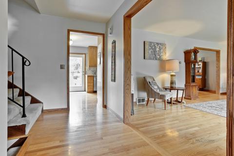 65 Brook Ln, Lindenhurst, IL 60046 photo 4