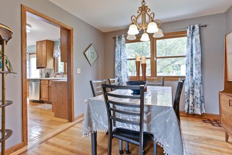 65 Brook Ln, Lindenhurst, IL 60046 photo 8