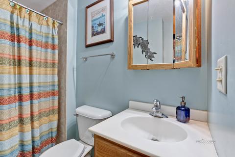 65 Brook Ln, Lindenhurst, IL 60046 photo 17