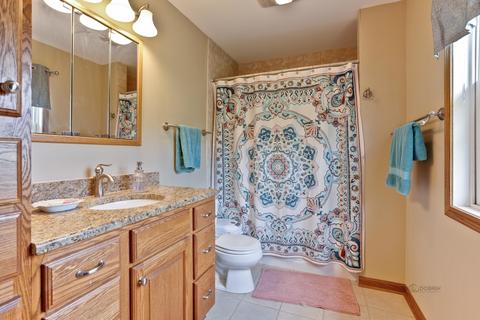 65 Brook Ln, Lindenhurst, IL 60046 photo 22