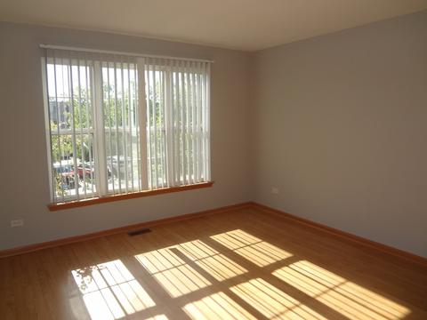 710 Mill Cir #203, Wheeling, IL 60090 photo 12