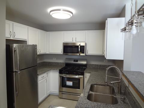 710 Mill Cir #203, Wheeling, IL 60090 photo 5