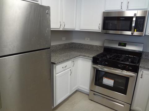 710 Mill Cir #203, Wheeling, IL 60090 photo 7