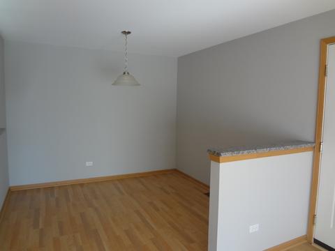 710 Mill Cir #203, Wheeling, IL 60090 photo 3