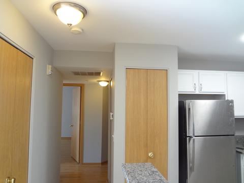 710 Mill Cir #203, Wheeling, IL 60090 photo 10