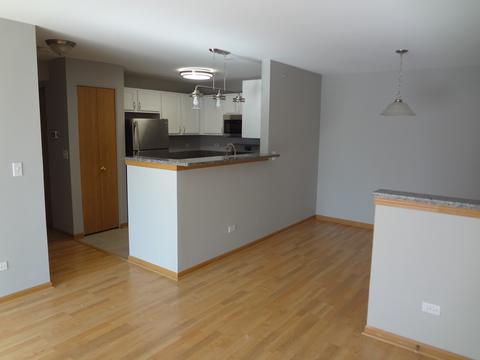 710 Mill Cir #203, Wheeling, IL 60090 photo 4