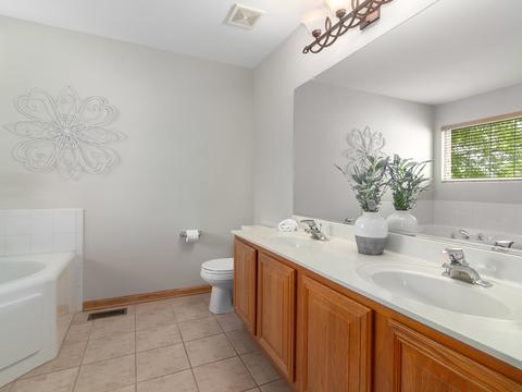 5402 Maple Glen Ct, Plainfield, IL 60586 photo 17