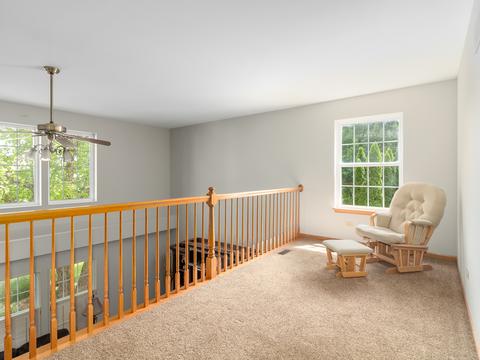 5402 Maple Glen Ct, Plainfield, IL 60586 photo 19