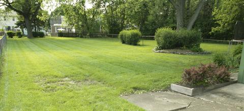 546 S 5th Ave S, Des Plaines, IL 60016 photo 30