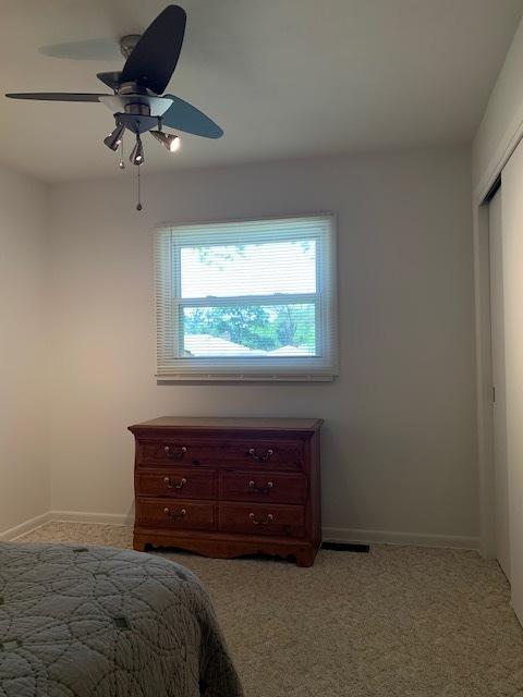 1231 Indian Dr, Elgin, IL 60120 photo 22