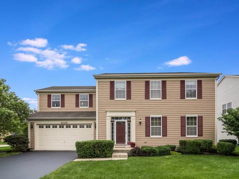 3009 Cookson Ave, Elgin, IL 60124 photo 1
