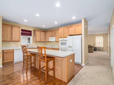 3009 Cookson Ave, Elgin, IL 60124 photo 8