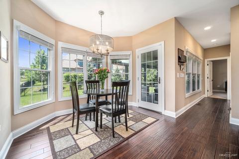 4432 White Ash Ln, Naperville, IL 60564 photo 9