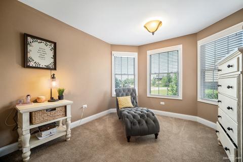 4432 White Ash Ln, Naperville, IL 60564 photo 20