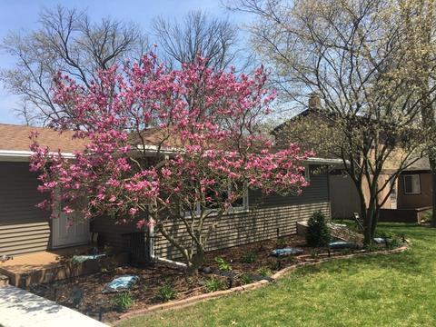 2845 River Rd, Kankakee, IL 60901 photo 25
