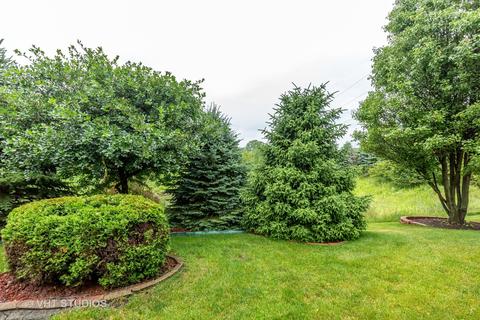 1002 Pinehurst Ct, Elgin, IL 60124 photo 21
