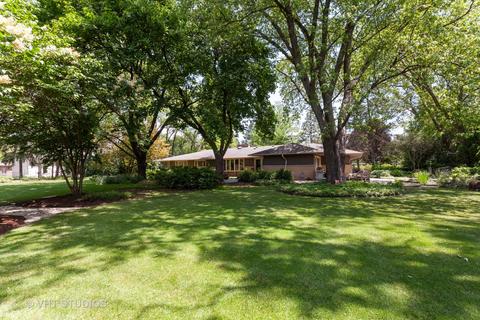 5950 Western Ave, Willowbrook, IL 60527 photo 29