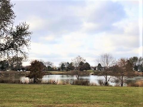 2247 Lakeside Dr, Aurora, IL 60504 photo 22