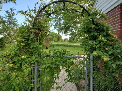 16610 Carroll Rd, Morrison, IL 61270 photo 22