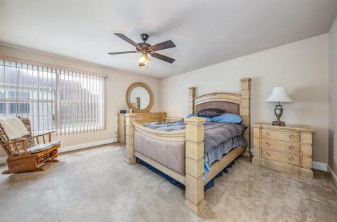 13020 Skyline Dr, Plainfield, IL 60585 photo 22