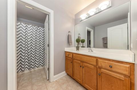 13020 Skyline Dr, Plainfield, IL 60585 photo 24