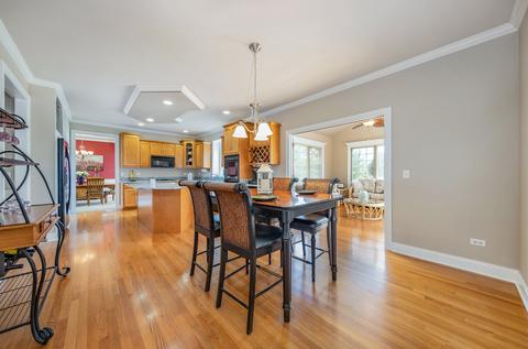 13020 Skyline Dr, Plainfield, IL 60585 photo 12