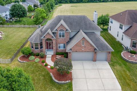 13020 Skyline Dr, Plainfield, IL 60585 photo 44