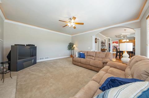 13020 Skyline Dr, Plainfield, IL 60585 photo 14