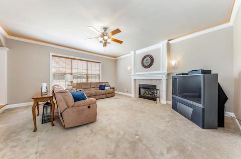 13020 Skyline Dr, Plainfield, IL 60585 photo 13
