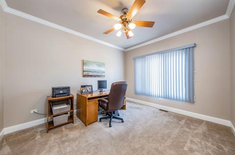 13020 Skyline Dr, Plainfield, IL 60585 photo 16
