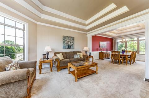13020 Skyline Dr, Plainfield, IL 60585 photo 6