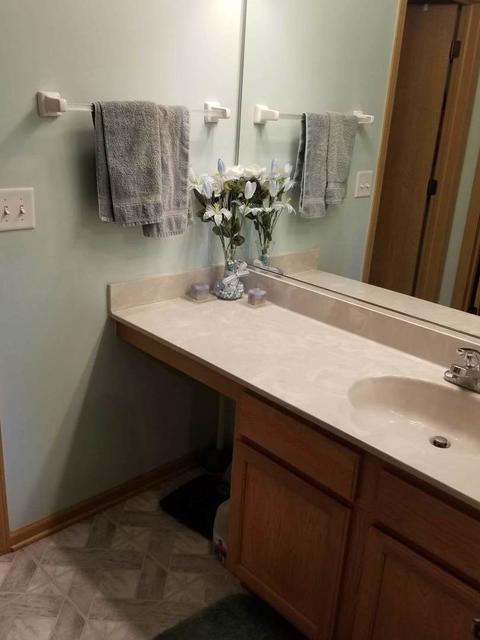 3305 Cliffe Ct, Plano, IL 60545 photo 18