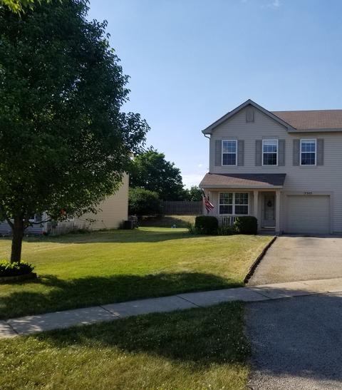 3305 Cliffe Ct, Plano, IL 60545 photo 2