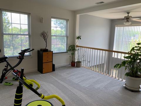 930 Case St, Naperville, IL 60563 photo 19
