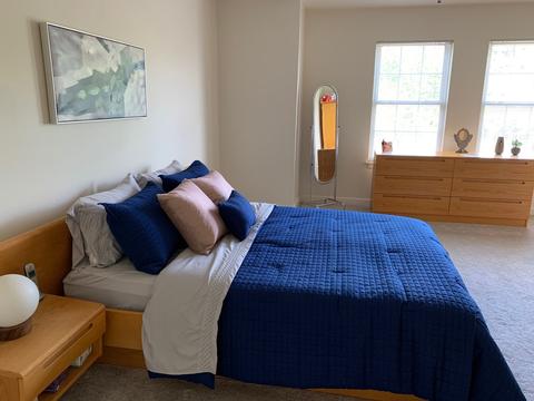 930 Case St, Naperville, IL 60563 photo 25