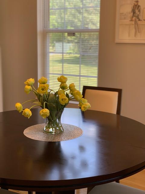 930 Case St, Naperville, IL 60563 photo 13