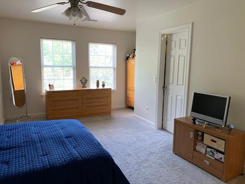 930 Case St, Naperville, IL 60563 photo 24