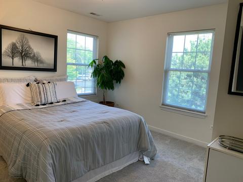 930 Case St, Naperville, IL 60563 photo 22
