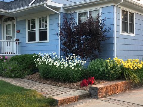 310 N Scott St, Wheaton, IL 60187 photo 3