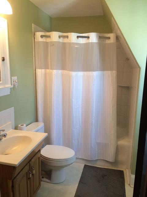 310 N Scott St, Wheaton, IL 60187 photo 11