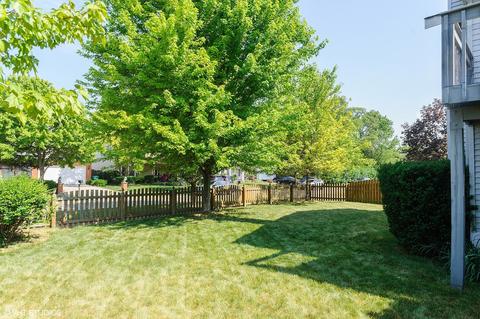 808 Maple Ln, Wheeling, IL 60090 photo 17