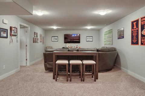 1201 Declaration Dr, Savoy, IL 61874 photo 48