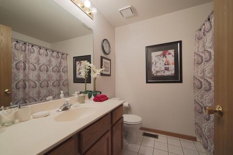 3210 Anton Dr, Aurora, IL 60504 photo 30