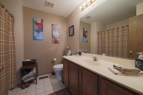 3210 Anton Dr, Aurora, IL 60504 photo 29