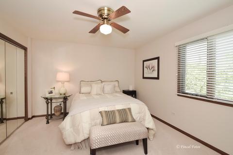 1650 Pebble Beach Dr, Hoffman Estates, IL 60169 photo 15