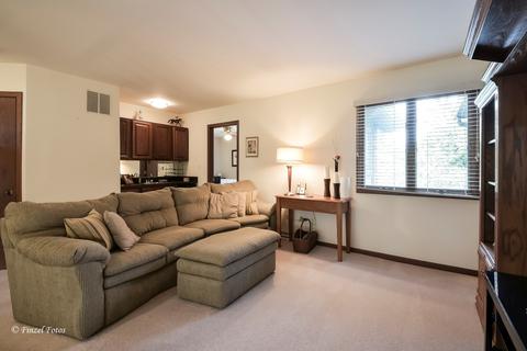 1650 Pebble Beach Dr, Hoffman Estates, IL 60169 photo 7